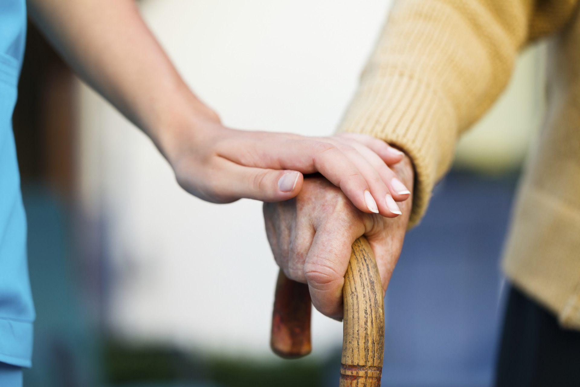 Palliative Care Service 