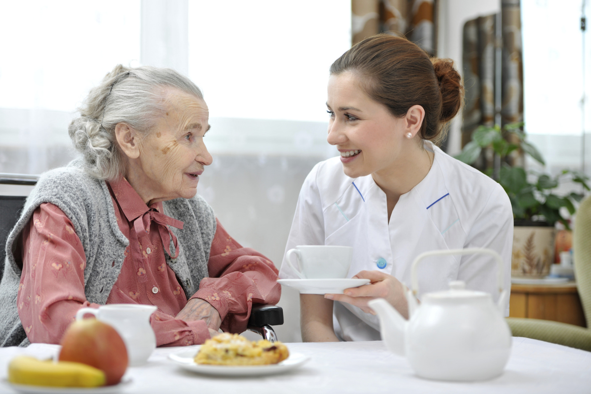 Care Agency Services